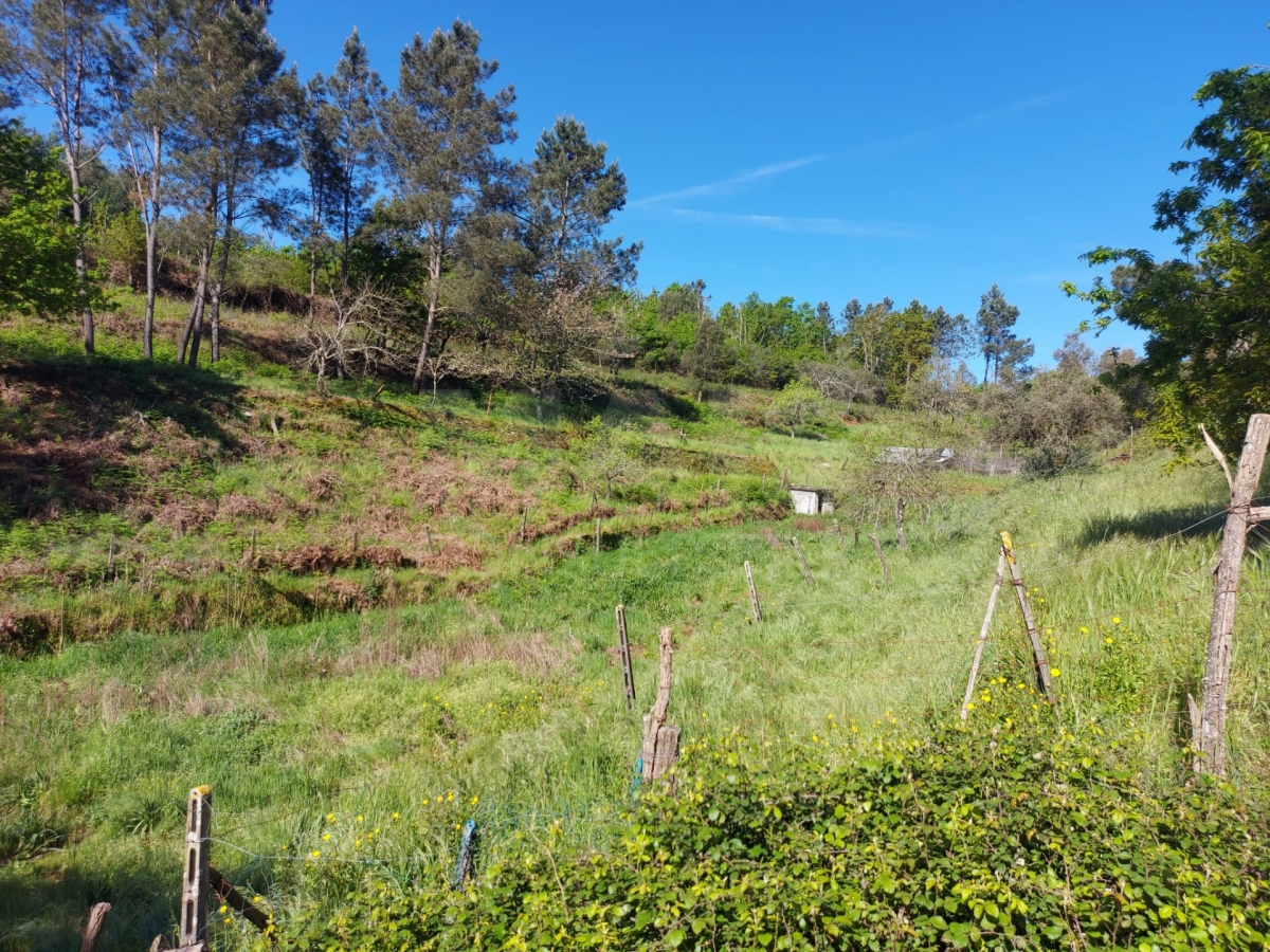Land with 20 000m2 next to the river in Côja.